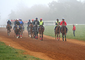 Newmarket in the mist larger image