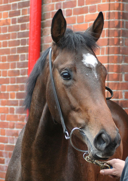 Sir George index