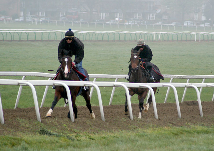 Sir George index
