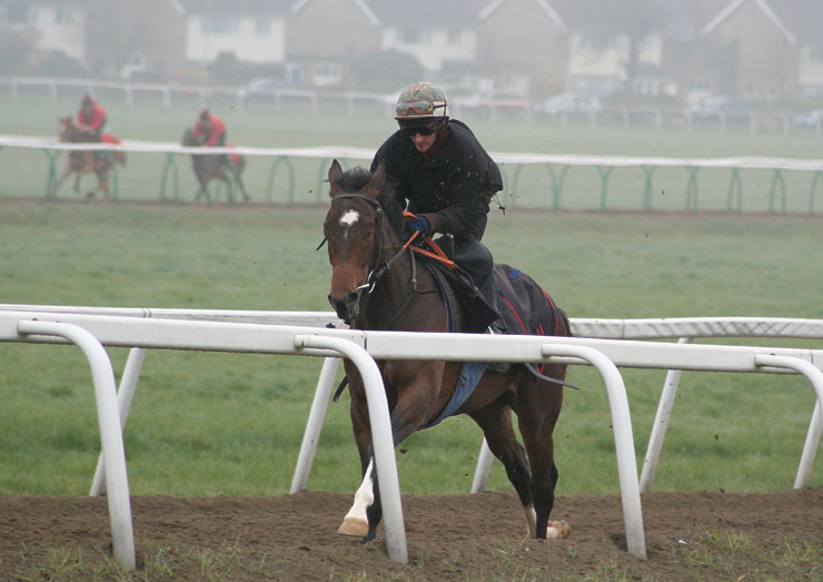 Sir George index