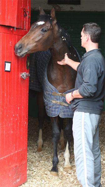 Sir George index