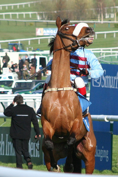 Horse index