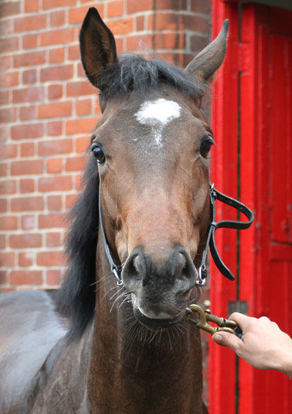 Sir George index