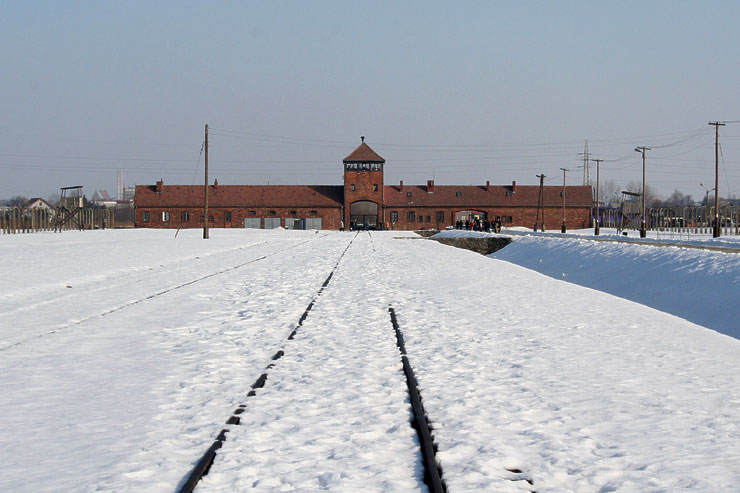 Auschwitz story