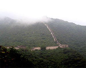 Larger image