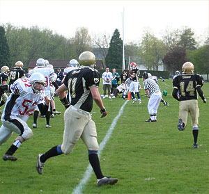Larger image