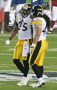 Ryan Clark and Troy Polamalul